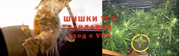 ГАЛЛЮЦИНОГЕННЫЕ ГРИБЫ Волосово