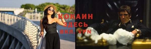 ГАЛЛЮЦИНОГЕННЫЕ ГРИБЫ Волосово