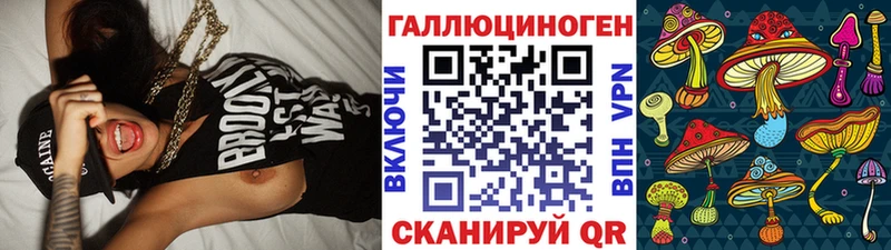 Купить где  Фокино  Псилоцибиновые грибы GOLDEN TEACHER 